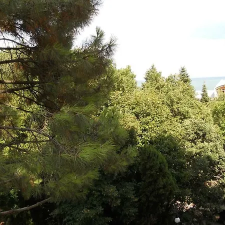 Bendita Holiday Apartmán Zlate písky